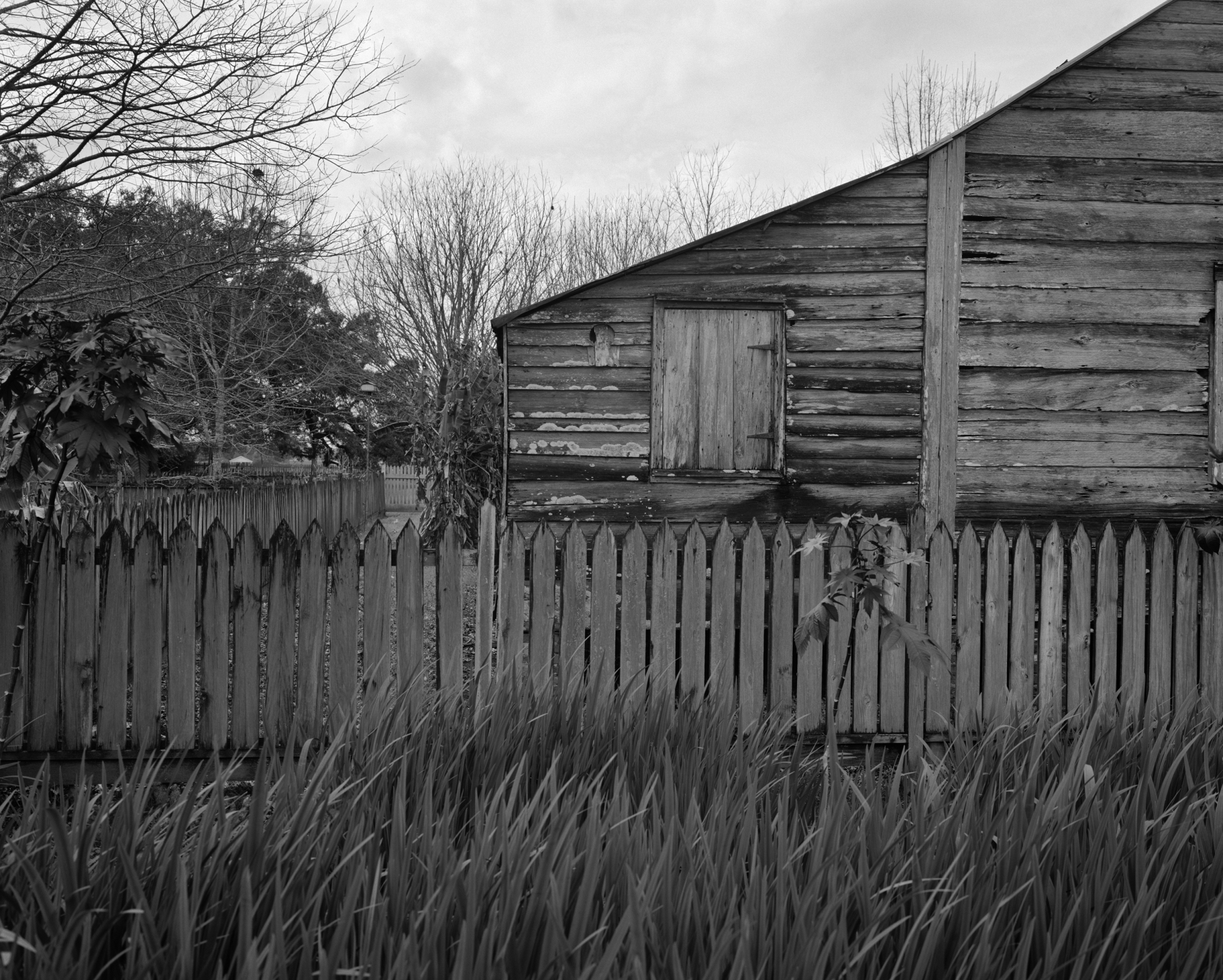 Tall Grass, Fence, and Cabin, 2019
gelatin silver print
edition of 6 with 2 APs
(DB-ITHP.19.16.3)