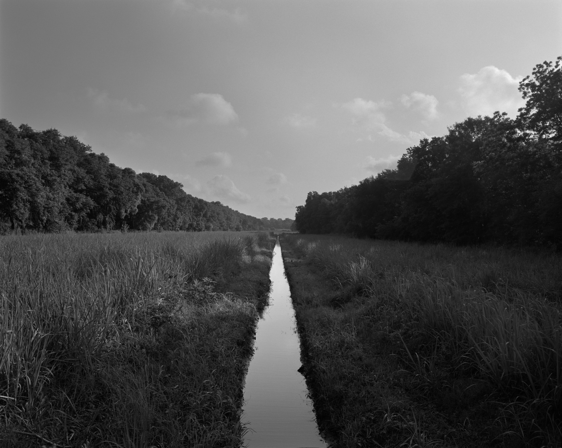 Irrigation Ditch, 2019
gelatin silver print
framed: 49 x 60 x 2 inches (124.5 x 152.4 x 5.1 cm)
edition of 6 with 2 APs&nbsp;
(DB-ITHP.19.23.3)