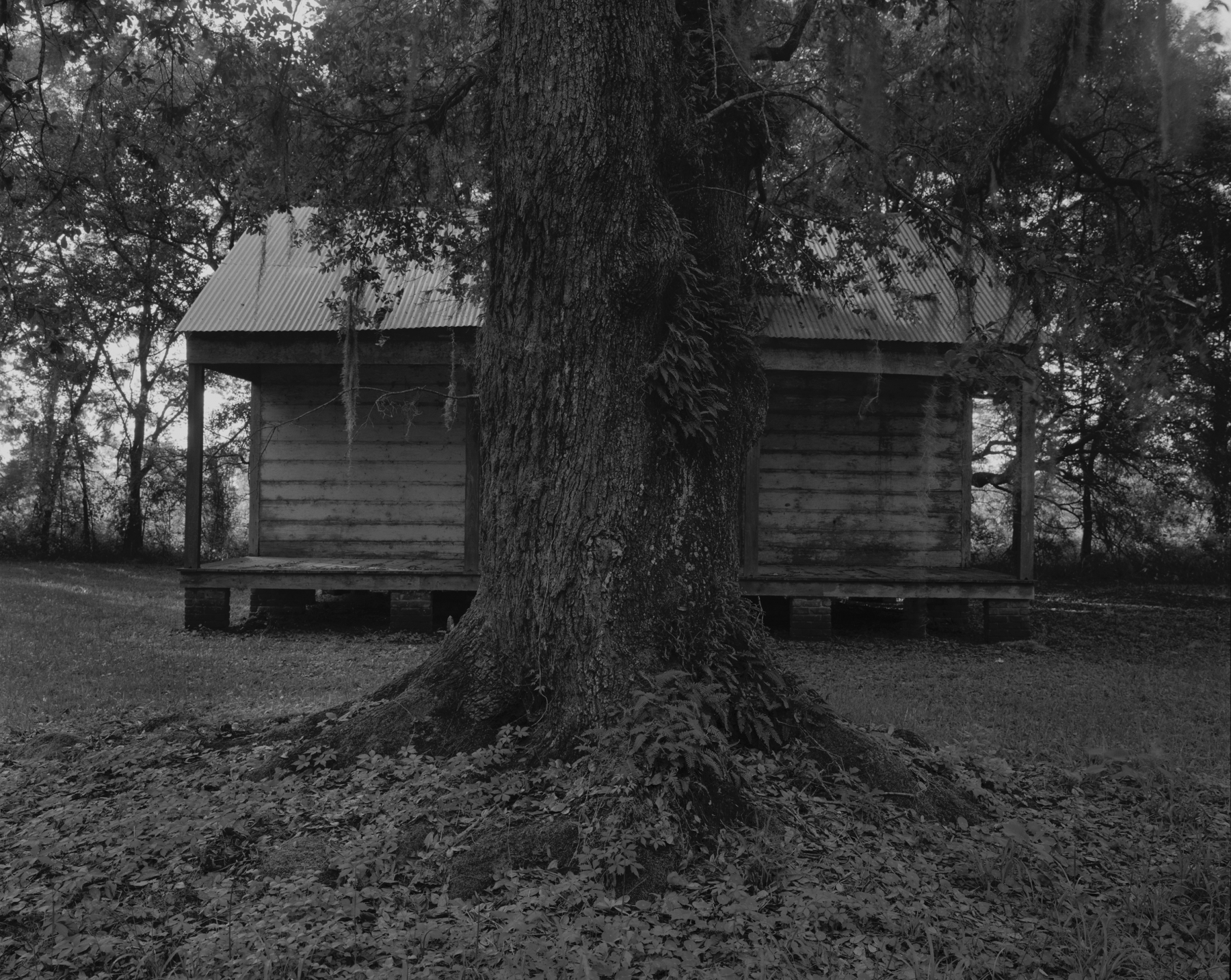 Tree and Cabin, 2019
gelatin silver print
framed: 49 x 60 x 2 inches (124.5 x 152.4 x 5.1 cm)
edition of 6 with 2 APs&nbsp;
(DB-ITHP.19.01.2)
&nbsp;
