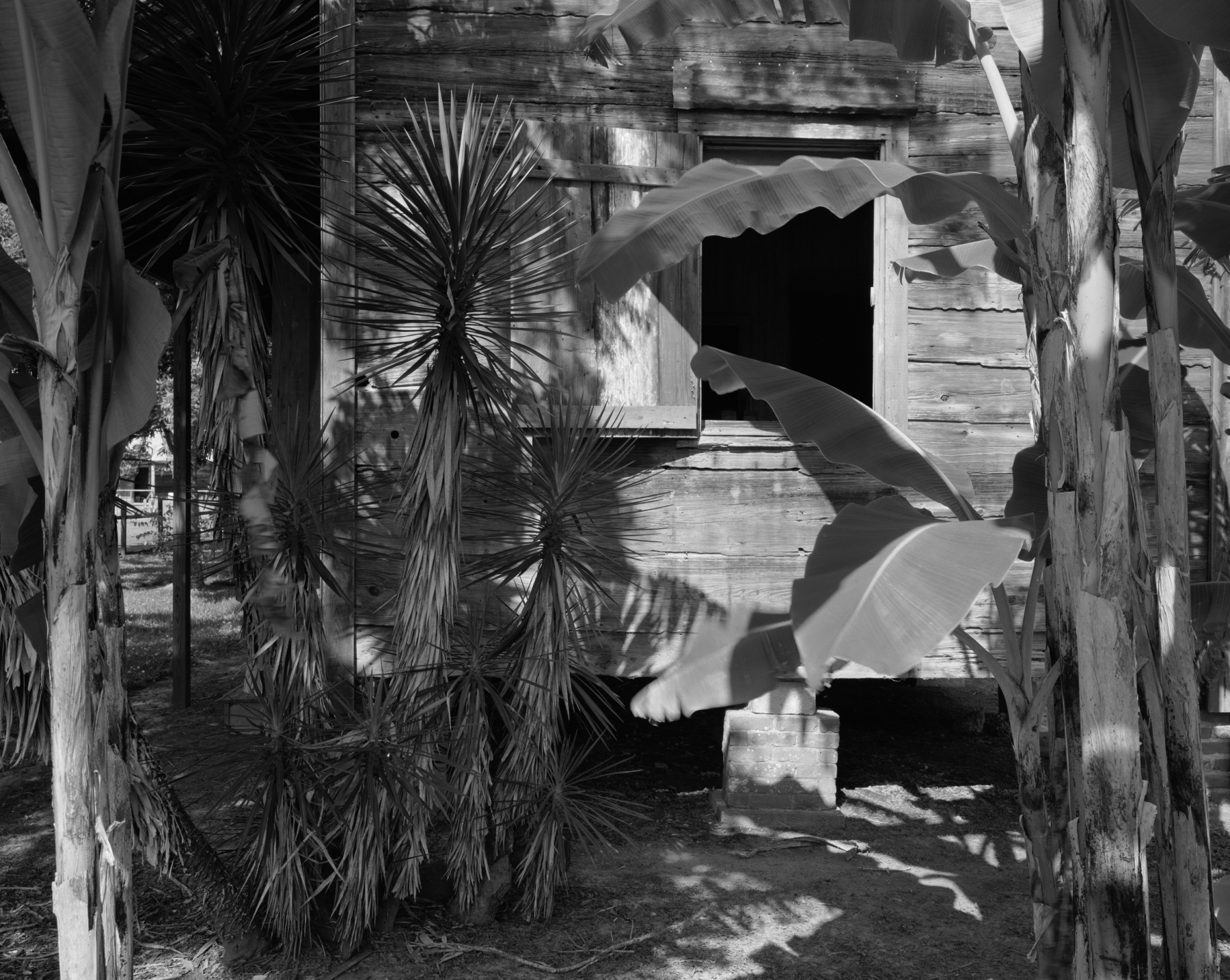 Cabin and Palm Trees, 2019
gelatin silver print
framed: 49 x 60 x 2 inches (124.5 x 152.4 x 5.1 cm)
edition of 6 with 2 APs&nbsp;
(DB-ITHP.19.12.2)