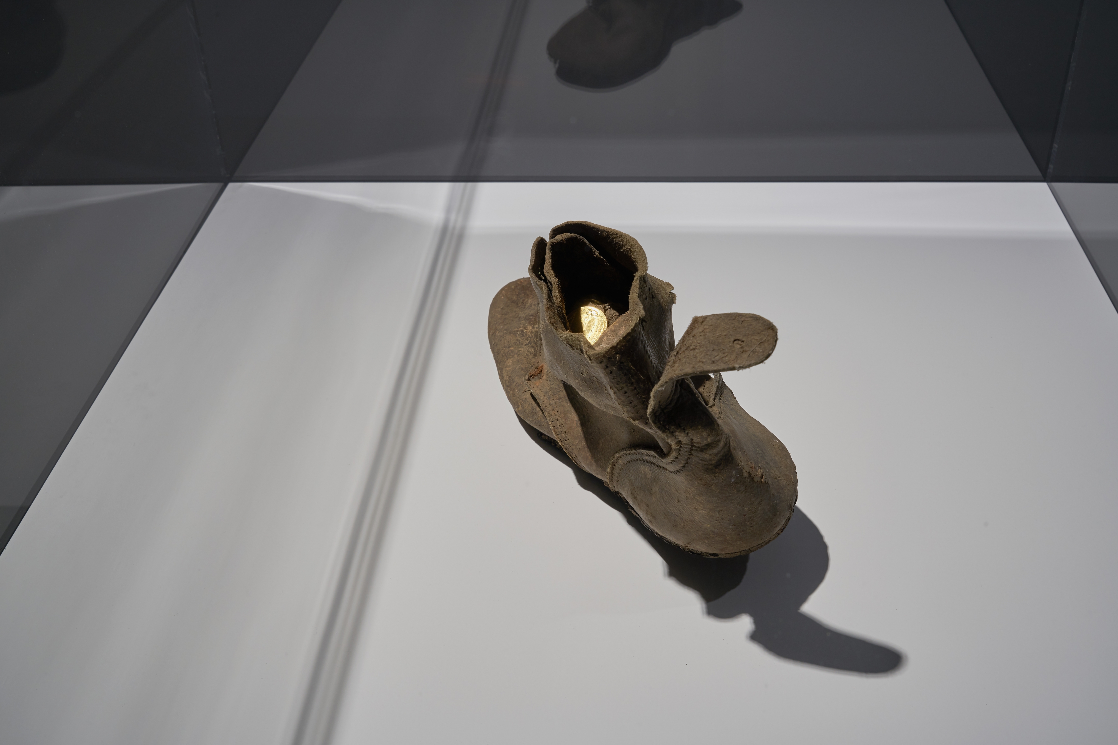 Wanderer II, 2011

shoe, golden coin

&nbsp;

&nbsp;

I placed a gold coin in this shoe of a dead soldier, which he can use to pay Charon to ferry him across the Styx.