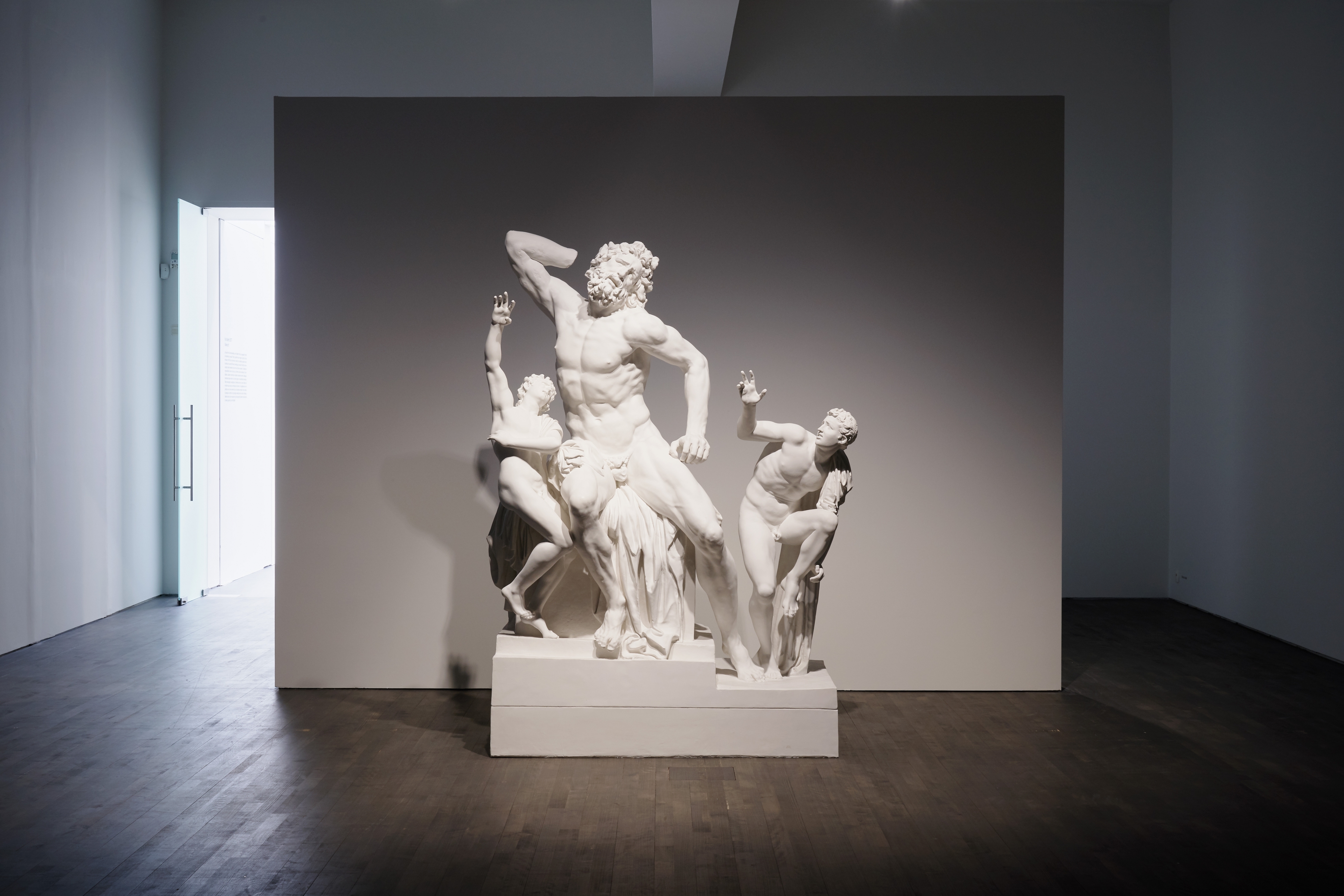 Mandi VIII, 2006

plaster

&nbsp;

&nbsp;

Without the two snakes, Laoco&ouml;n&rsquo;s fear and that of his sons is inexplicable. The cause of their terror has disappeared but the emotion can still be read in their faces and body language.

&nbsp;
